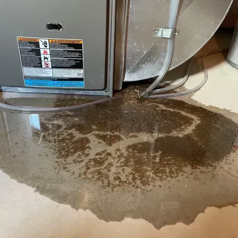 Appliance Leak Cleanup in Paris, KY